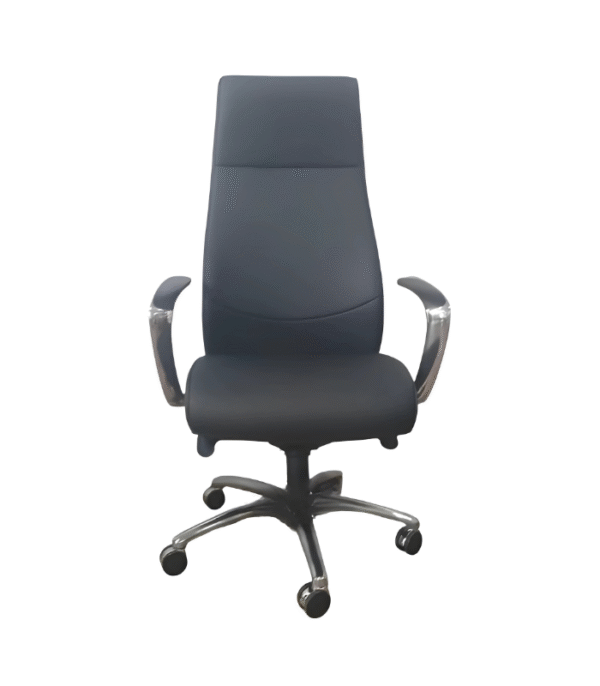 Fauteuil de Bureau Ergonomique SteelLine – Élégance Métallique & Confort Structuré