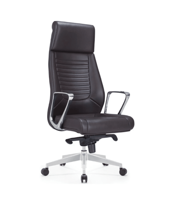 Fauteuil de Bureau ORLO Vision Pro – Soutien Cervical & Design Structuré