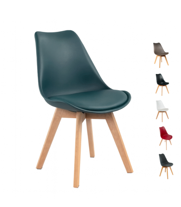 Chaises Scandinaves + Coussin